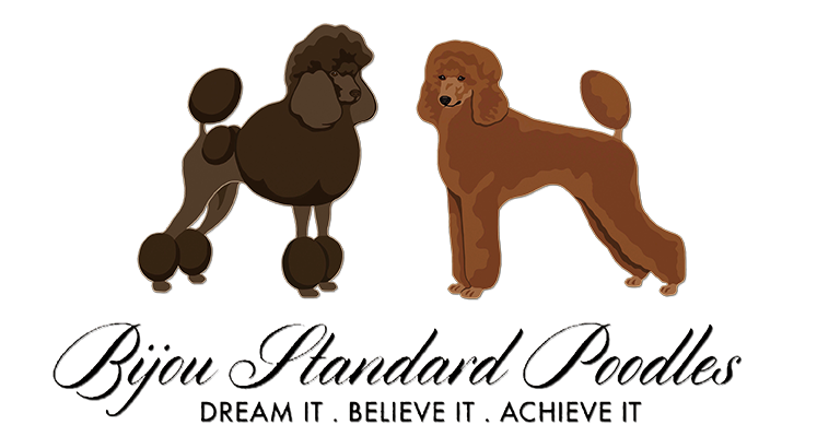 Standard Poodle Growth Chart Weight