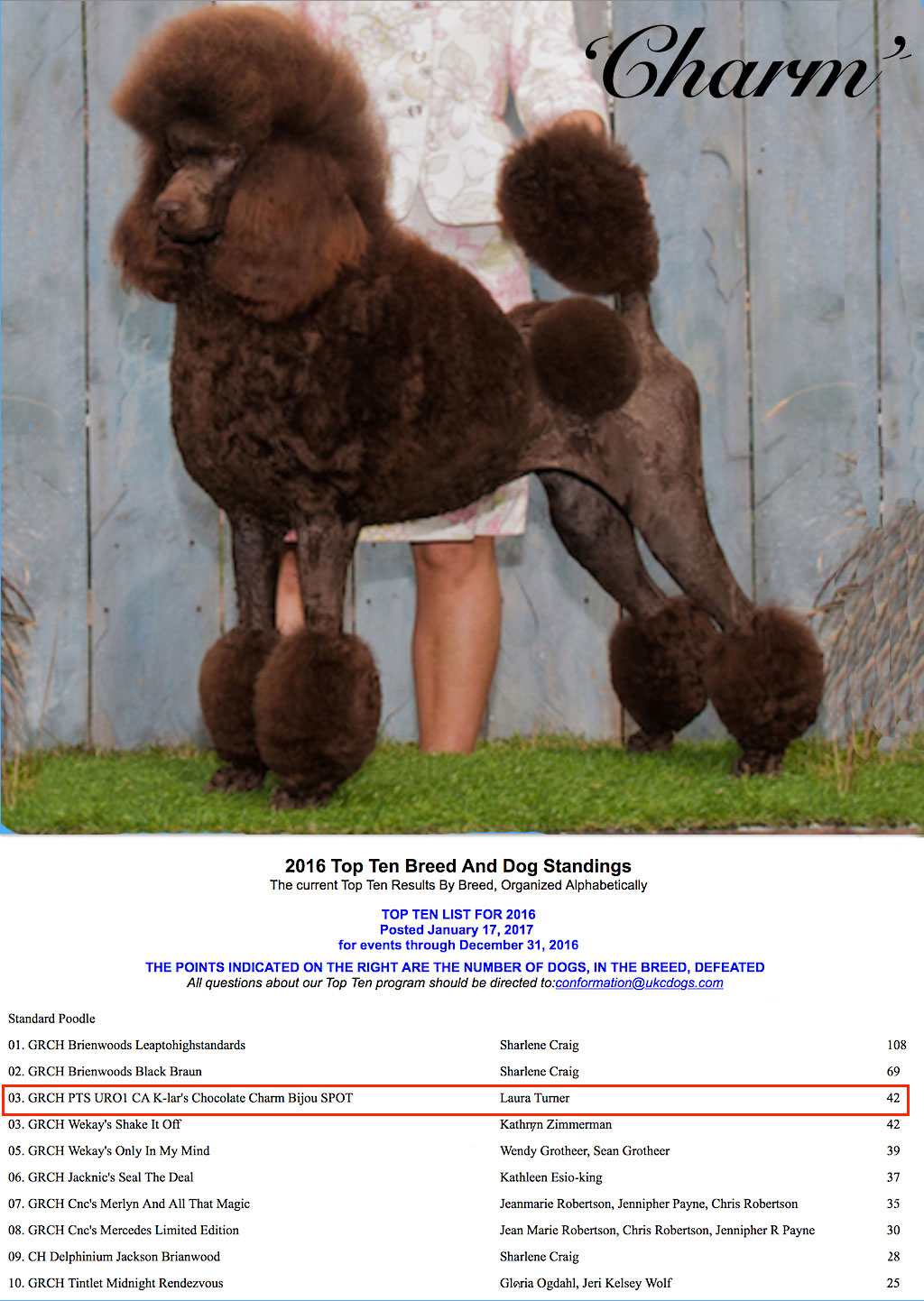 brienwood standard poodles