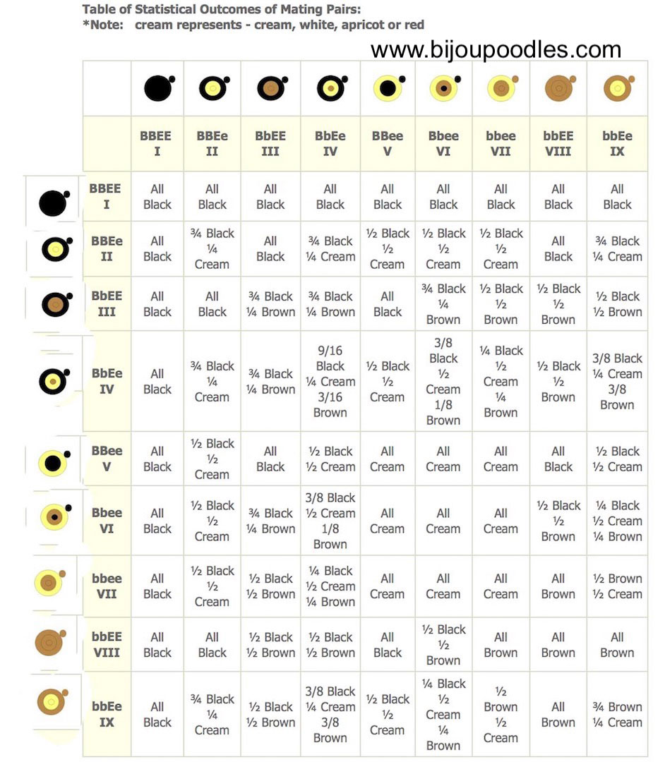 Dog Dna Colour Chart